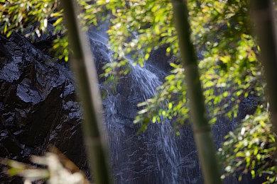 《消逝的光芒：困兽》黑化凯尔·克兰回归 今年夏季发售
